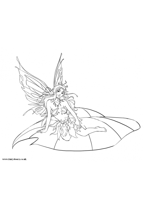 Fairy Colour In Sheet 5